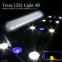 《お一人様1点限り》テトラ　LEDライト　60 高照度・高効率ライトシステム！