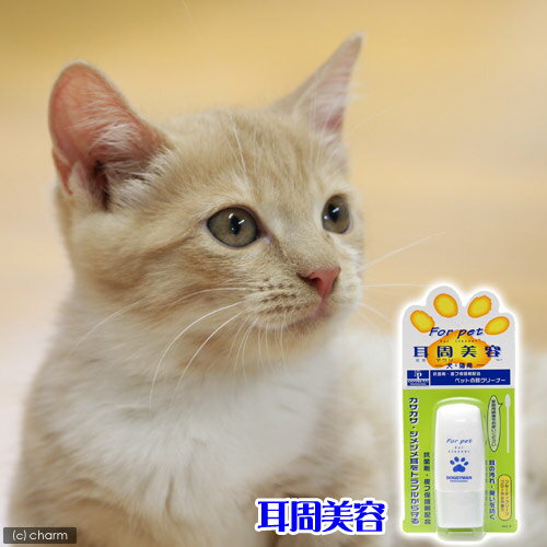 耳周美容　25ml【関東当日便】【HLS_DU】