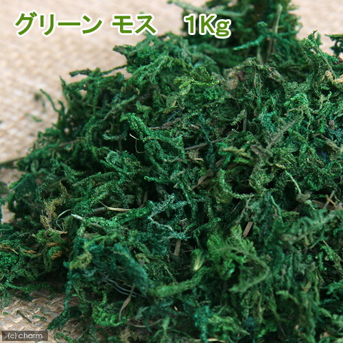 グリーンモス　1kg【関東当日便】【HLS_DU】鮮やかなグリーンのモス！