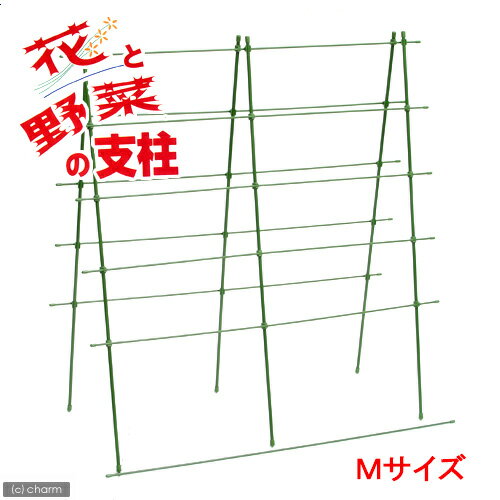 《簡易梱包》【緑のカーテン】花と野菜の支柱　M（90×70）【関東当日便】