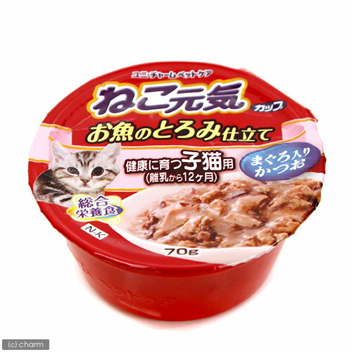 ねこ元気カップ　健康に育つ子猫用　まぐろ入りかつお　70g【関東当日便】【HLS_DU】お魚のうまみたっぷり