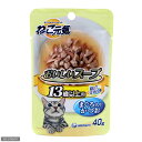 ねこ元気　おいしいスープ　13歳以上用　40g【関東当日便】【HLS_DU】