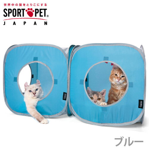 SPORTS　PET　キャット　プレイキューブ　ブルー　2個セット【関東当日便】【HLS_DU】お得な2個セット！