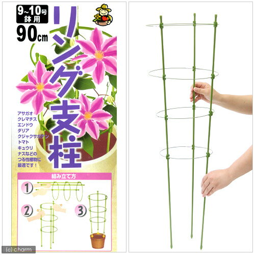 《簡易梱包》リング支柱　90cm 9〜10号鉢用【関東当日便】つる性植物に最適！