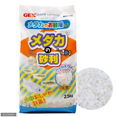 メダカの砂利　パールホワイト　2．5kg【関東当日便】