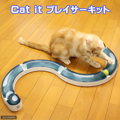 Cat　it　プレイサーキット【関東当日便】レールの中のボールを追いかけてストレス発散！