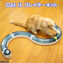 Cat　it　プレイサーキット【関東当日便】