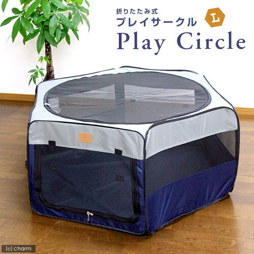 ФδʰץˡKonokoޤꤿߥץ쥤롡L ڤб_