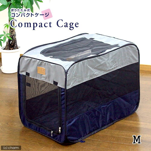 ФδʰץˡKonokoޤꤿߥѥȥM ڤб_