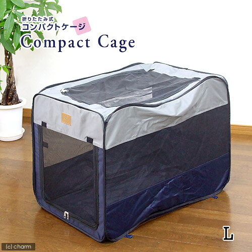 ФδʰץˡKonokoޤꤿߥѥȥL ڤб_