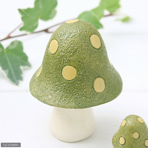 塼ȤޥåȡΥ른å˥ޥ롡Υ꡼L ڤб_