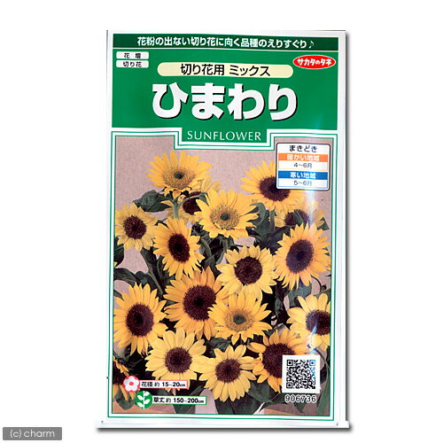 花の種　ひまわり（切り花用　ミックス）　品番：906−736【サカタのタネ】【関東当日便】