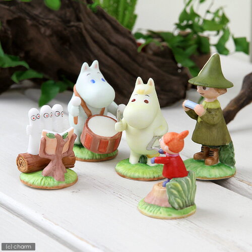 ࡼߥëãΥǥ󥪡ʥȡࡼߥХ졼Ȣե奢åȡ5ԡ1åȡ ڤб_