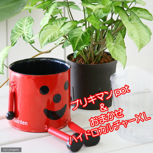 İŪʴѡ˥֥ꥭޥȥϥɥXLΤ㤤åȡʥåɡ ڤб_