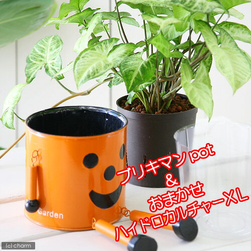 İŪʴѡ˥֥ꥭޥȥϥɥXLΤ㤤åȡʥ󥸡 ڤб_