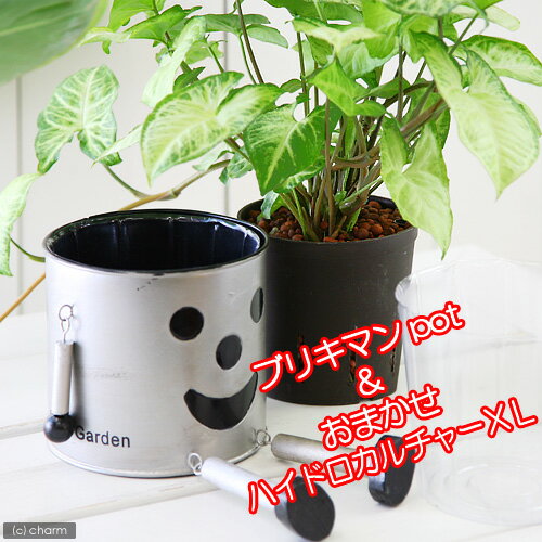 İŪʴѡ˥֥ꥭޥȥϥɥXLΤ㤤åȡʥС ڤб_