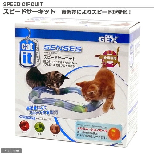 Cat　it　スピードサーキット【関東当日便】楽しく遊んでストレス解消！
