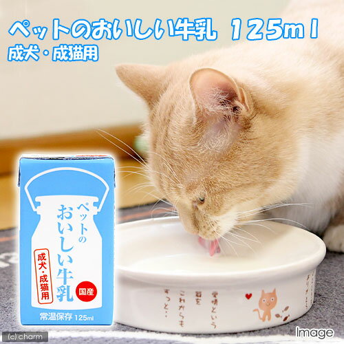 くいしんぼ　ペットのおいしい牛乳　成犬・成猫用　125ml【関東当日便】【HLS_DU】