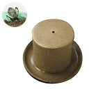 (昆虫)本州・四国限定 鈴虫1ペア+和の音色 鈴虫飼育専用容器 益子焼 鈴音(直径95×85)(餌、餌皿、受皿付) スズムシ 飼育セット