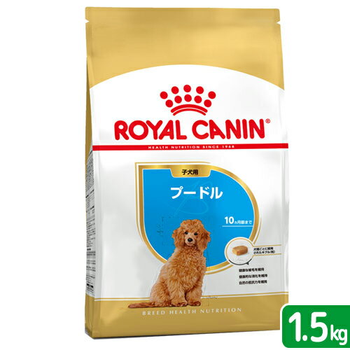 特定犬種のための毎日の総合栄養食！ロイヤルカナン　（犬用）　プードル　子犬用　1．5kg【正規品】【関東当日便】【HLS_DU】