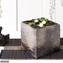国産 手作り睡蓮鉢 益子焼 彩(SAI) 角 粗目 こげ茶 直径18cm ビオトープ 関東当日便