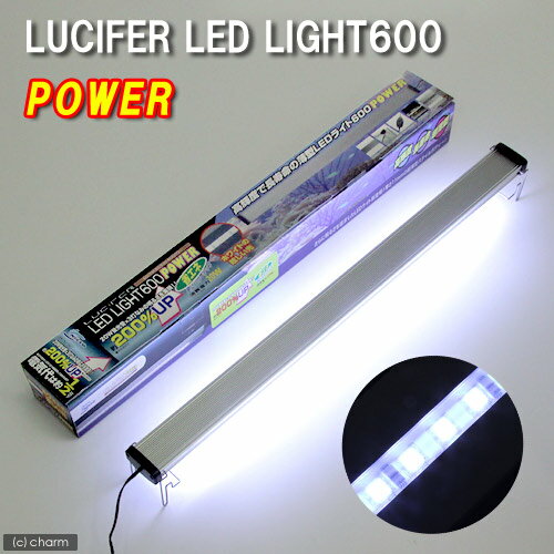 《お一人様2点限り》ルシファ　LEDライト600　パワー20W蛍光灯ランプの1．5倍の明るさ