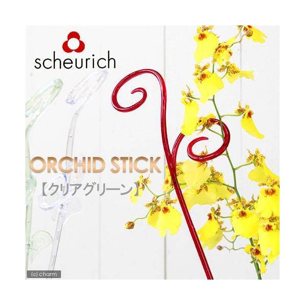 scheurich　シューリッヒ　オーキッドスティック　クリアグリーン（植物用支柱）　関東…...:chanet:10205673