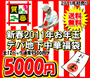 新春2011年お年玉デパ地下中華福袋2011年の初売りは毎年恒例お年玉中華福袋！！