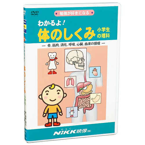 ★ポイント10倍★12日(木)1:59まで〆【あす楽】DVD　わかるよ！体のしくみ【知育教材】【理科】【DVD】【キッズ】【マラソン1207P10】【RCPmara1207】体のしくみをわかりやすい映像でテンポ良く解説