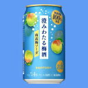 サントリー 澄みわたる梅酒〈南高梅ソーダ〉350mlケース(24本入り) 【お取り寄せ商品】