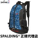 期間限定プレゼント付(500円分)バスケットボール バックパック リュックCAGER ケイジャー ペイズリーSPALDING スポルディング