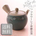 【エントリーでポイント14倍】【急須】【送料無料】帯網急須<...