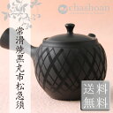【エントリーでP5倍】【常滑焼急須】【送料無料】<市松模様丸急須400cc><IB>かわ