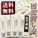 【国産大麦100%】<押麦4kg>【送料無料】【食物繊維たっぷり 押し麦 4000g 雑穀 穀類