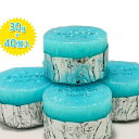 【送料無料】 固形燃料 カエンニューエース 30g 20個入...
