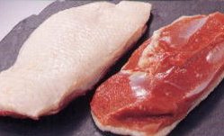 鴨ロース（むね肉）フレッシュ500g (1〜2枚）【冷蔵】賞味期限7日　保存は冷凍でも可
