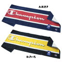 タオル チャンピオン Champion ラガーボーダー イエ...