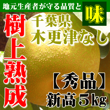 梨 新高 5kg 【千葉県 木更津なし】【樹上熟成】