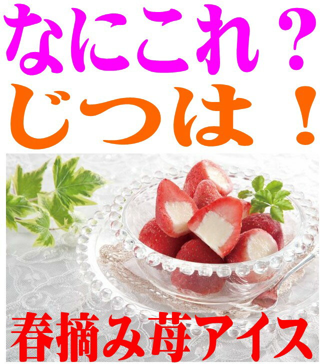 ◆送料無料◆なにこれ？！春摘み苺アイス　人気急上昇中　話題のスィーツ　お子様から大人まで大人気　ストロベリー【いちご】【イチゴ】【苺】　【お中元】【楽ギフ_のし宛書】【アイス】 【バレンタイン】　【RCPmara1207】人気急上昇フローズンアイス練乳入りでテンション上がります！20個入り