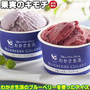 わかさ生活 ブルーベリー を使ったアイス ブルーベリーアイス...