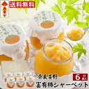 お中元 送料無料 奈良吉野 凍らせて食べ...