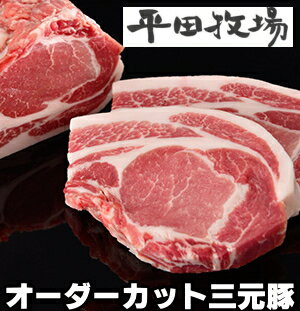 平田牧場　三元豚　【ヒレブロック　450g】　のボリューム　『冷蔵』【平田牧場】【豚肉】【ステーキ】【洋風惣菜】【三元豚】 【豚肉 国産】【バーベキュー】【豚肉 レシピ】【RCPsuper1206】マスコミで話題◆三元豚の貴重なヒレブロック脂肪が少ないのでステーキや一口カツなどがオススメです