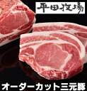 【H自宅】平田牧場　三元豚　【ロースとんかつ用　125g×2枚セット】少量パック　『冷蔵』御自宅用【平田牧場】【豚肉】【ロース】【三元豚】 【バーベキュー】【豚肉 とんかつ】【厚切り】【ポークソテー】【ステーキ】【02P03Dec16】