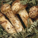 【送料無料】【訳有り】200g 岩手県産 収穫最盛期 【極上...