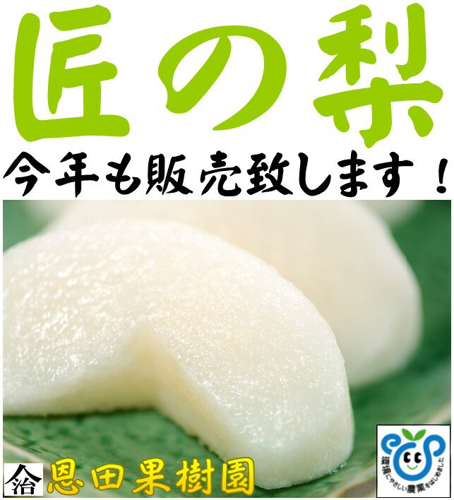 【4L】日本一の　なし　　【全国出荷量日本一】　千葉県の梨豊水ナシ限定予約【梨 千葉】【梨 千葉県】【梨 豊水 千葉県】【梨】【なし】【千葉県産】