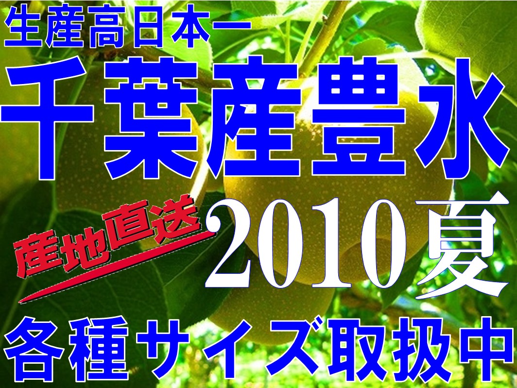 出荷量日本一の千葉県の梨【豊水ナシ】贈り物にも喜ばれる！なし！【甘み】【旨み】【たっぷりの果汁】日本一の なし 【全国出荷量日本一】 千葉県の梨豊水ナシ限定予約
