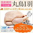 丸鶏 1羽 まだ間に合う!【冷凍 中サイズ 約2.0kg】国産 鶏肉 紀州うめどり 丸鳥 中抜