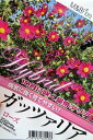 【新品種】皇帝ダリア ハイブリッド ガッツァリア 「ローズ(一重赤花)」4号ポット苗