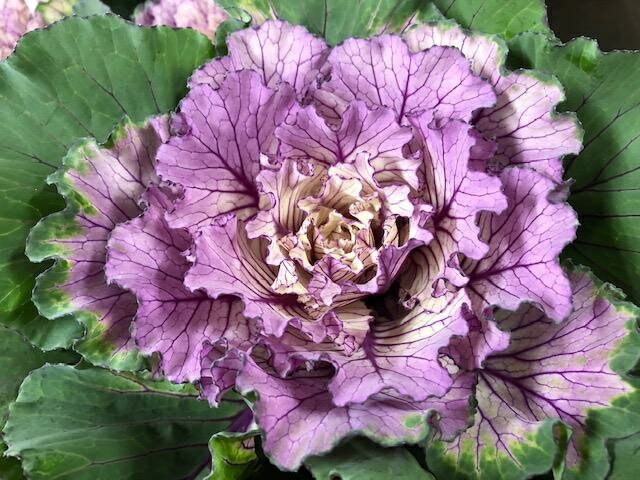 o̗lȁtO t̉ [g 3Zbg FƂǂ荬ĐAĂyn{^ybL[V[Ήz