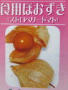 食用ほおずき(ストロベリートマト) 「2個セット」...